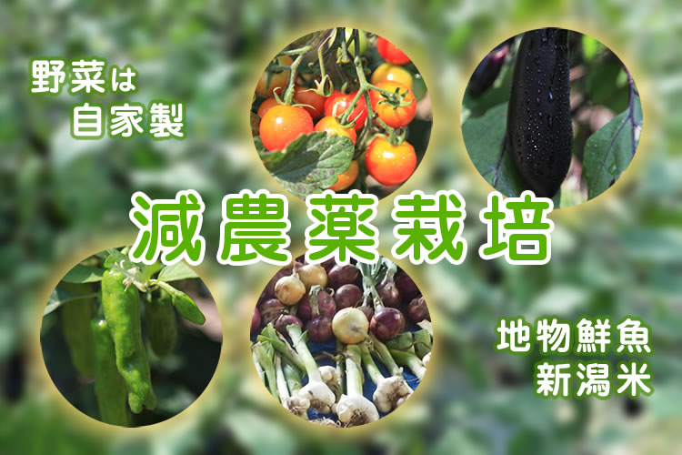 野菜は自家製　減農薬栽培　地物鮮魚　新潟米